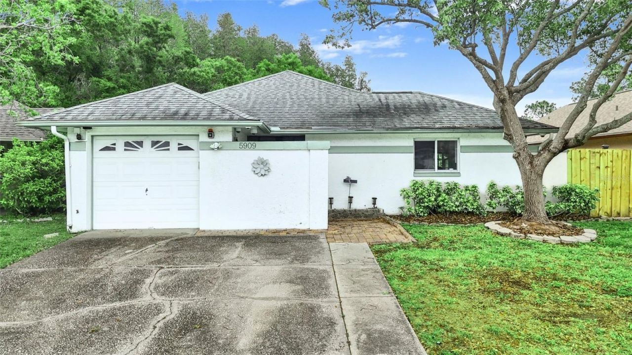 5909 Bitterwood Court, Tampa, FL 33625 Main Photo