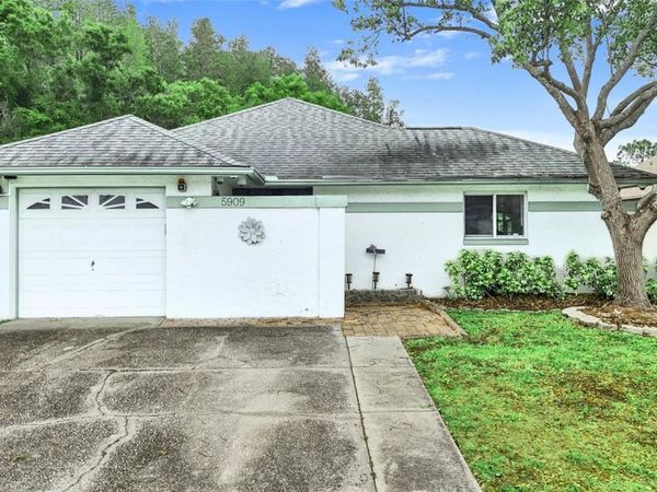 5909 BITTERWOOD COURT, TAMPA, FL 33625