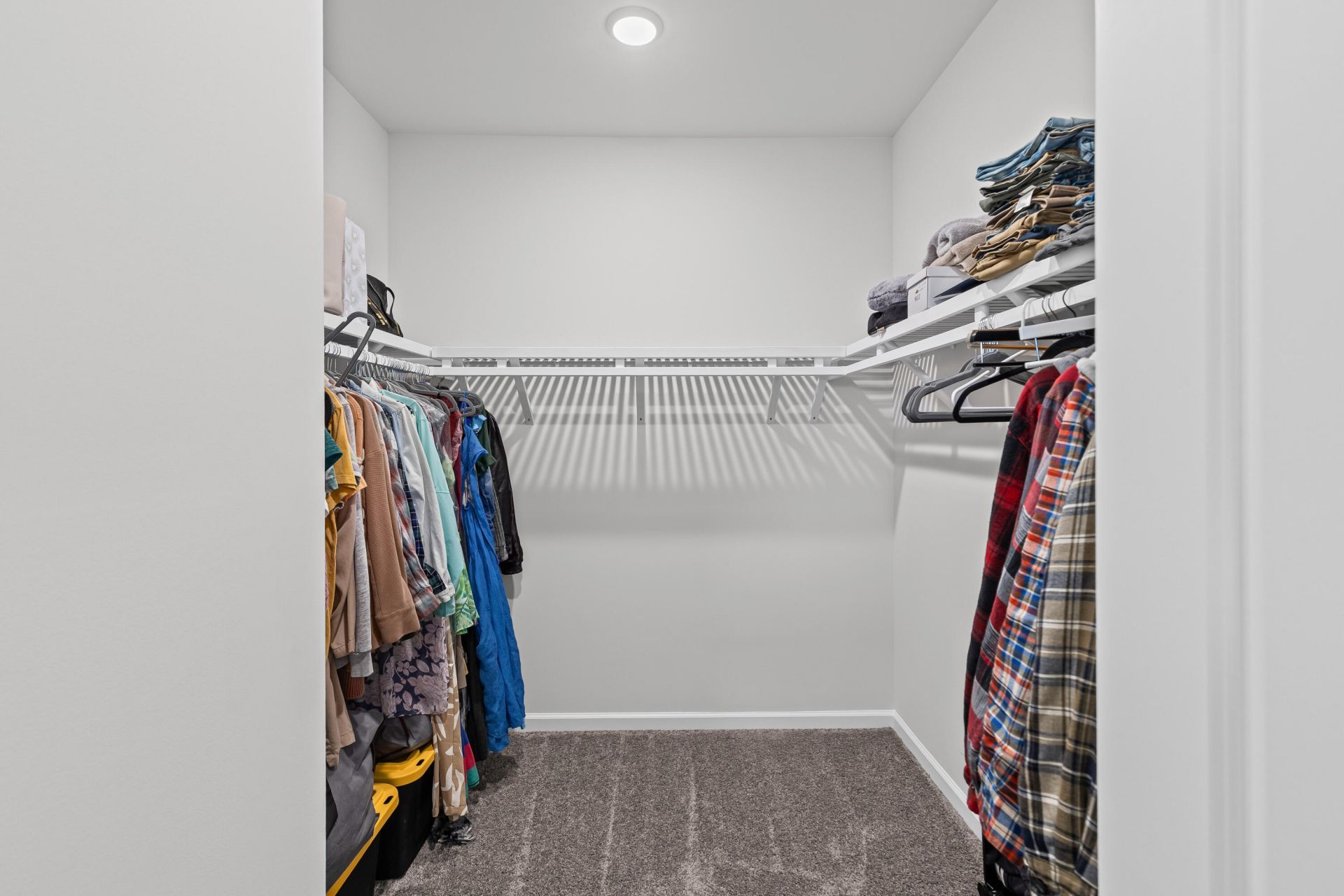 4127 Collins Drive Photo 29