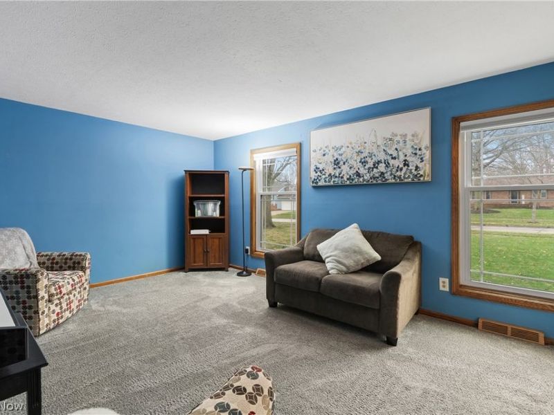 417 Forest Lane, Wadsworth, OH 44281 Photo 14