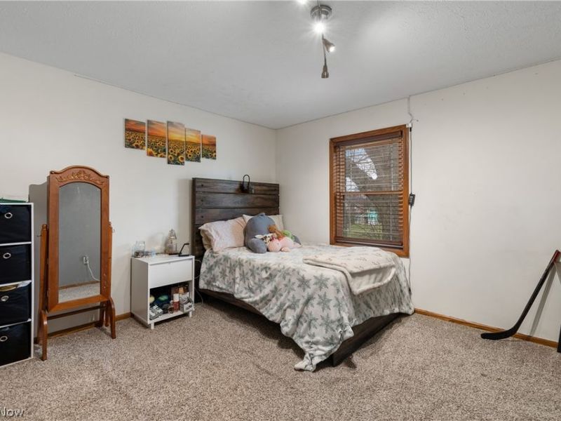 417 Forest Lane, Wadsworth, OH 44281 Photo 26