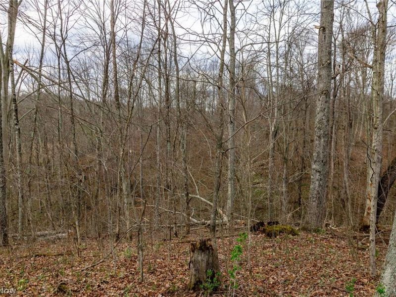 643 S Townsend Road SW, Malta, OH 43758 Photo 10