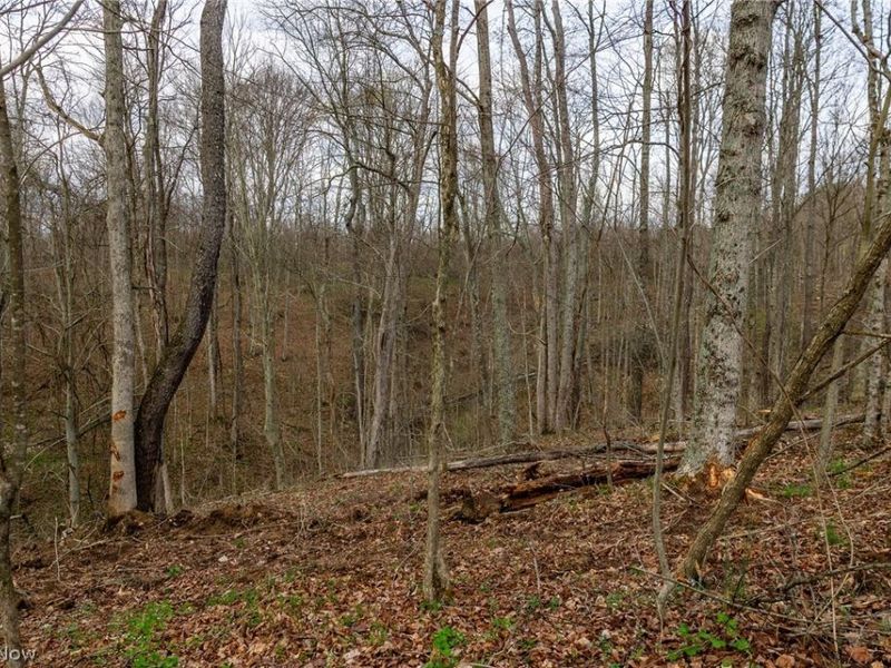 643 S Townsend Road SW, Malta, OH 43758 Photo 11