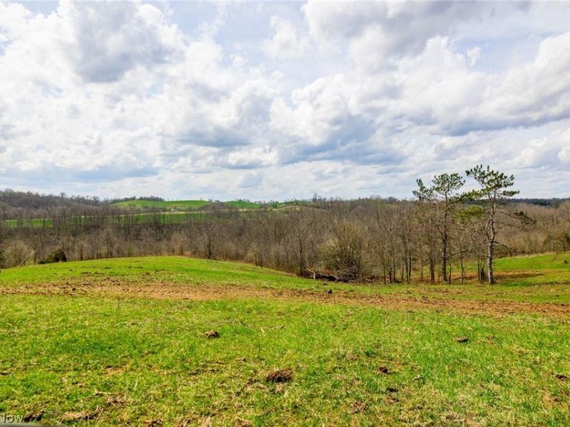 643 S Townsend Road SW, Malta, OH 43758 Photo 5