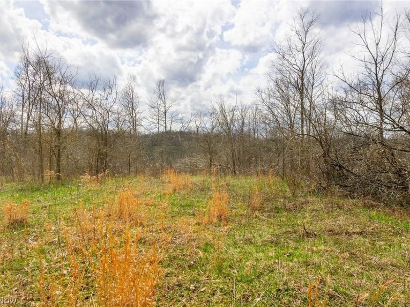 643 S Townsend Road SW, Malta, OH 43758 Photo 7