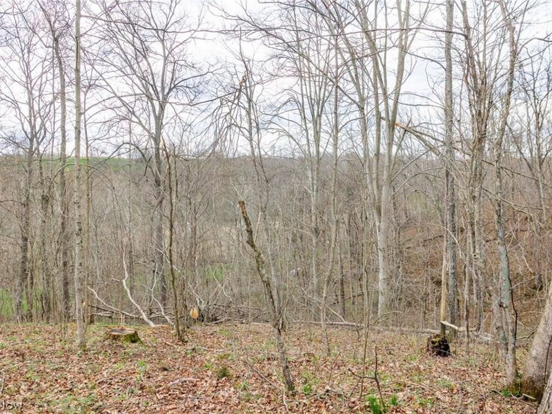 643 S Townsend Road SW, Malta, OH 43758 Photo 8