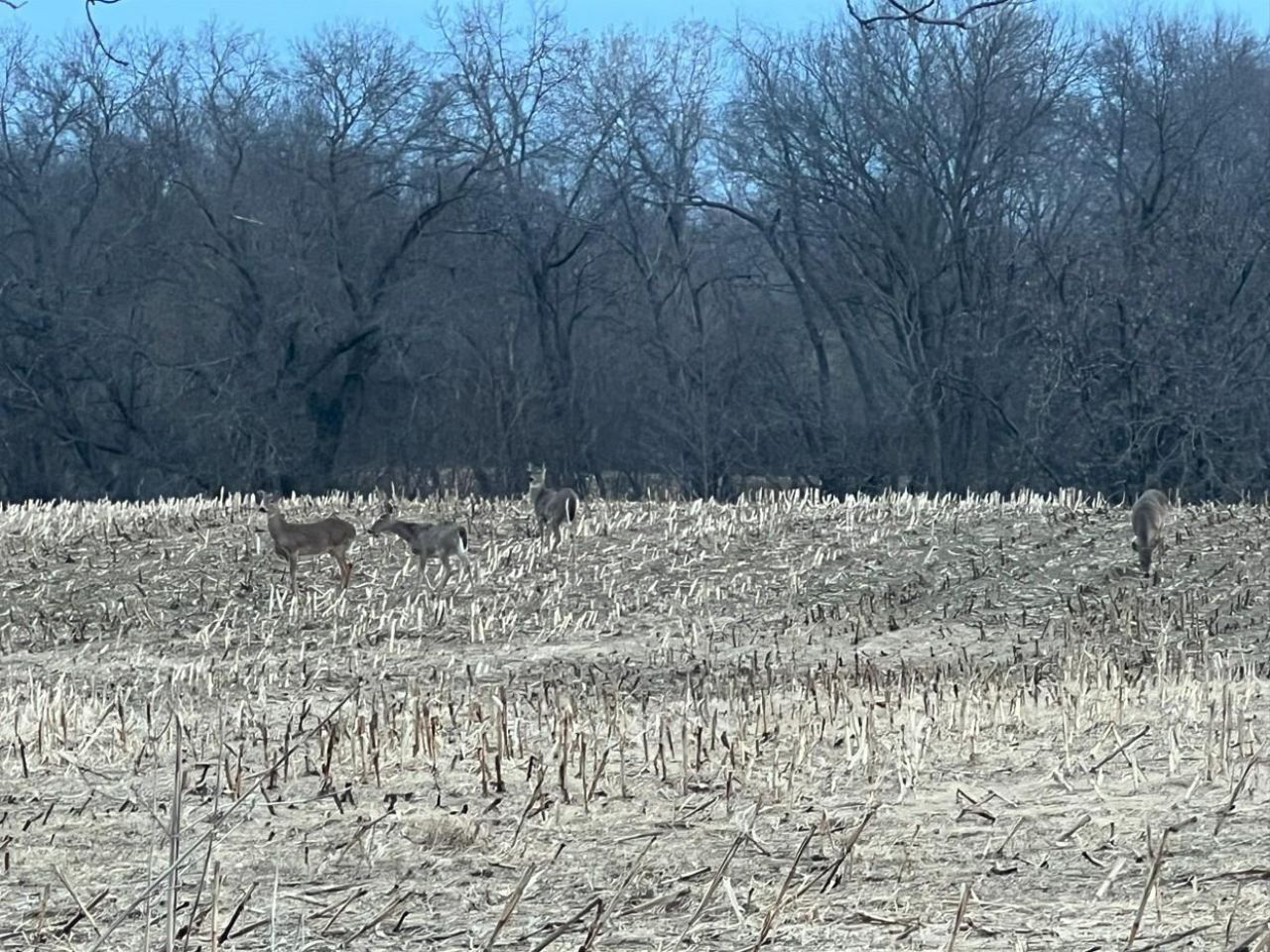 000 160th Avenue, Maiden Rock, WI 54750