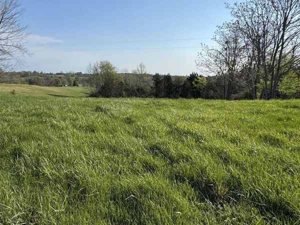 74 Ray Williams Road , Scottsville, KY 42164