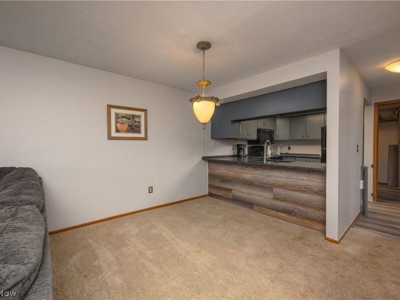 243 Portage Lakes Drive, Unit E, Akron, OH 44319 Photo 16