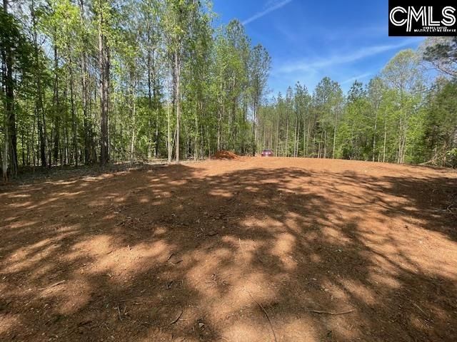 Lot 2 Highway 121 Photo 10