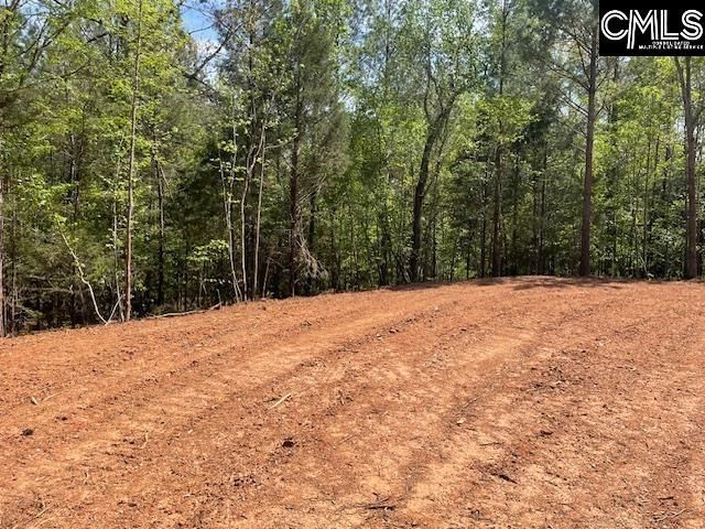 Lot 2 Highway 121 Photo 11