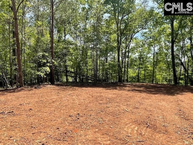 Lot 2 Highway 121 Photo 12