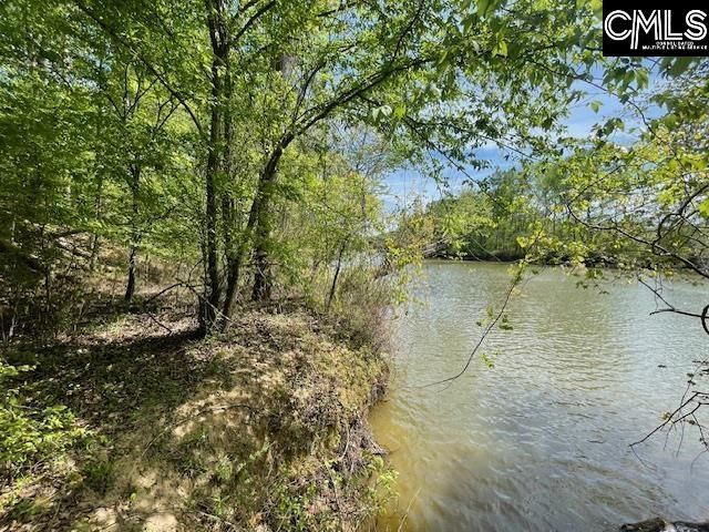 Lot 2 Highway 121 Photo 16