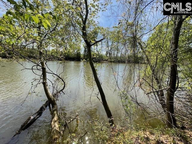 Lot 2 Highway 121 Photo 17