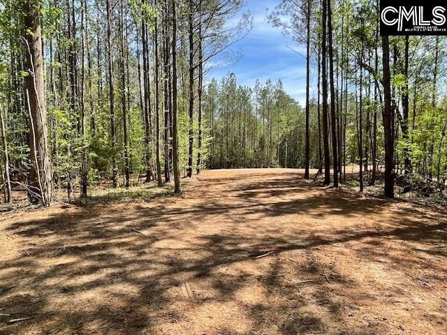 Lot 2 Highway 121 Photo 18