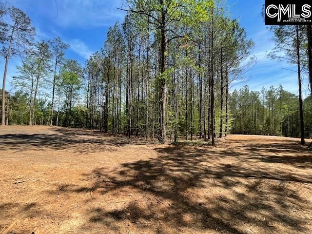 Lot 2 Highway 121 Photo 19