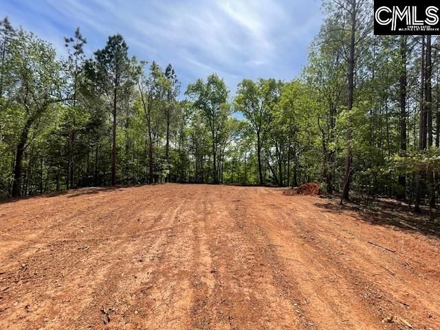 Lot 2 Highway 121 Photo 20
