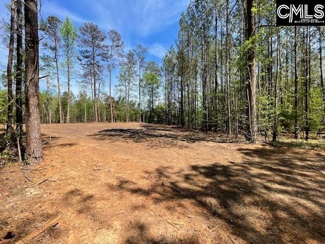 Lot 2 Highway 121 Photo 4