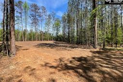 Lot 2 Highway 121 photo 4