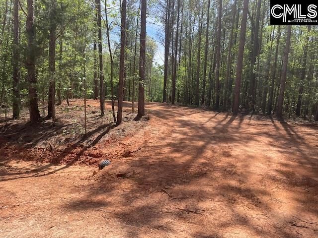 Lot 2 Highway 121 Photo 5