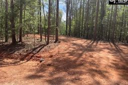 Lot 2 Highway 121 photo 4