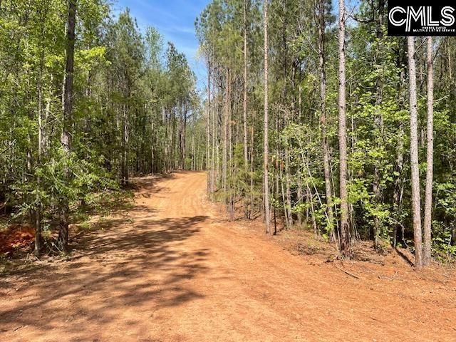 Lot 2 Highway 121 Photo 8