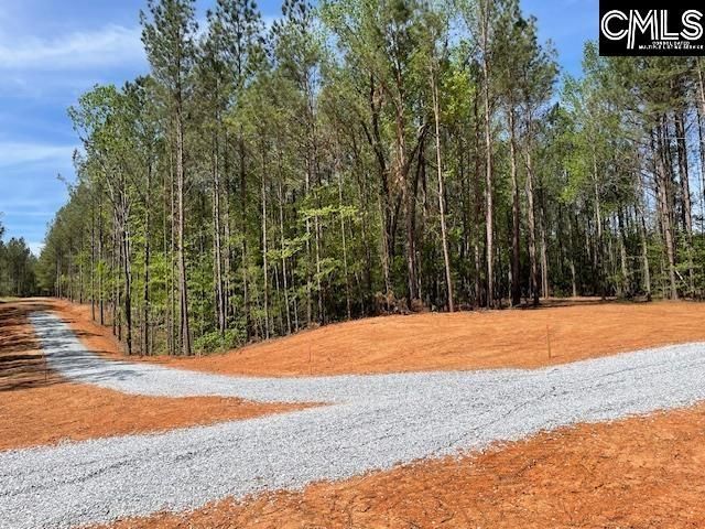 Lot 1 Highway 121 Photo 10