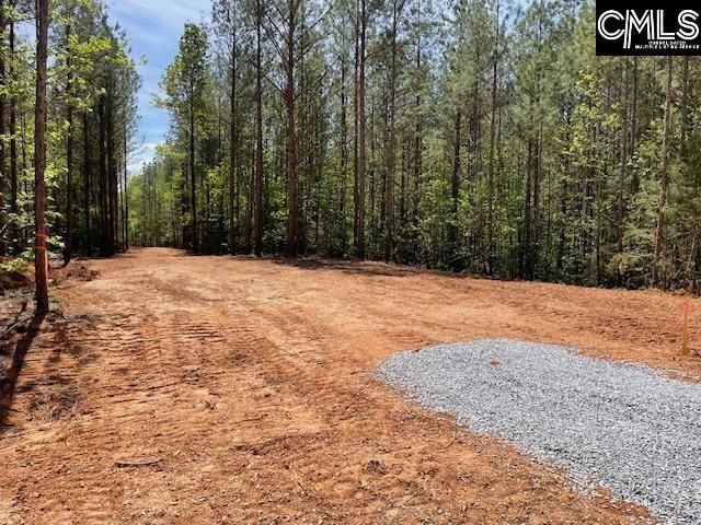 Lot 1 Highway 121 Photo 11