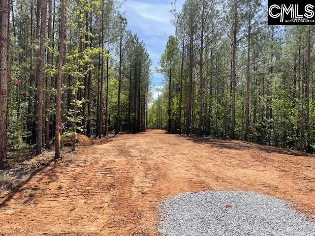 Lot 1 Highway 121 Photo 12