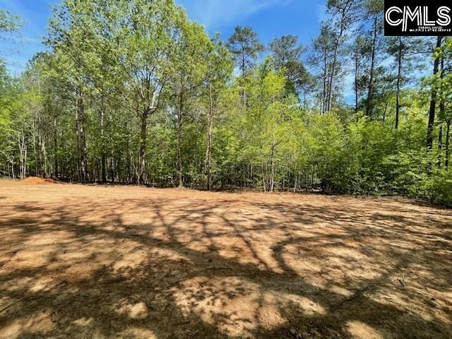 Lot 1 Highway 121 Photo 14