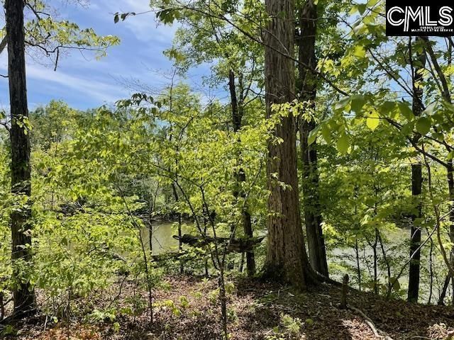 Lot 1 Highway 121 Photo 15