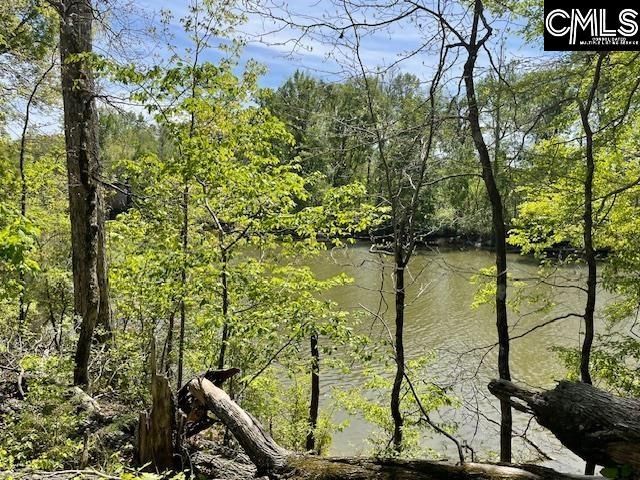 Lot 1 Highway 121 Photo 16