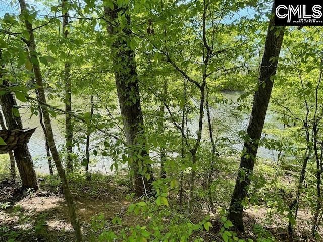 Lot 1 Highway 121 Photo 17