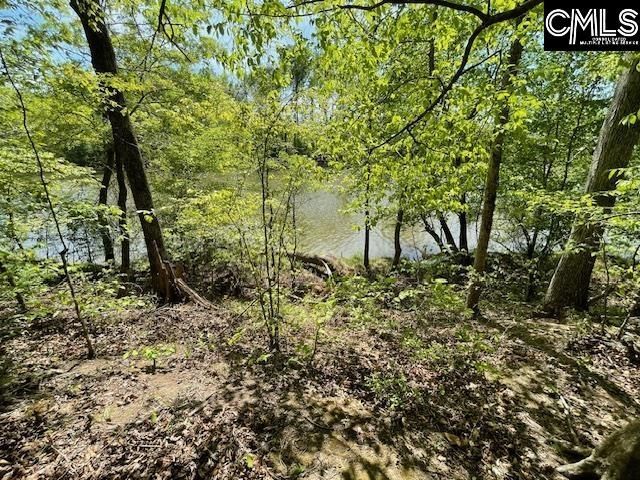 Lot 1 Highway 121 Photo 18