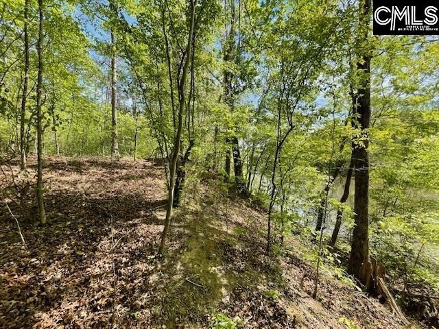 Lot 1 Highway 121 Photo 19