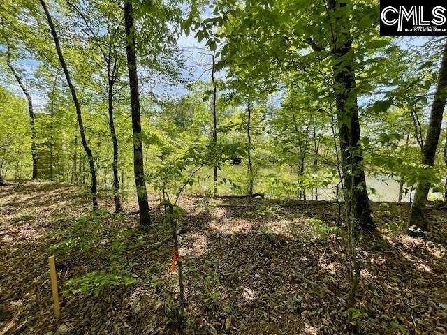 Lot 1 Highway 121 Photo 20