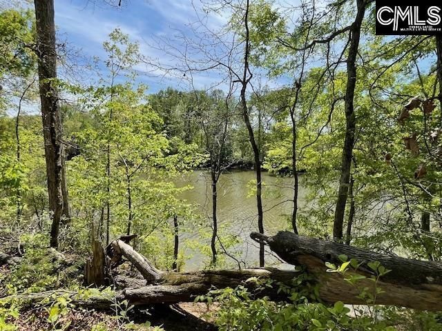 Lot 1 Highway 121 Photo 21