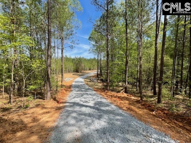 Lot 1 Highway 121 Photo 23