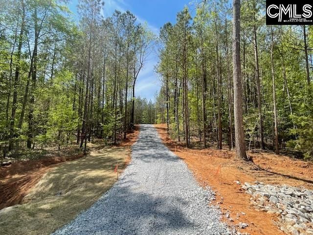 Lot 1 Highway 121 Photo 24