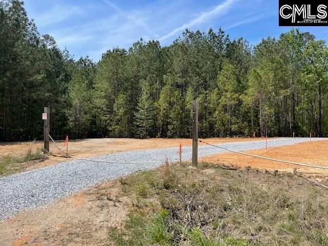 Lot 1 Highway 121 Photo 4
