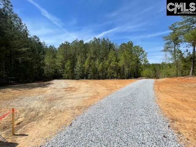 Lot 1 Highway 121 Photo 5
