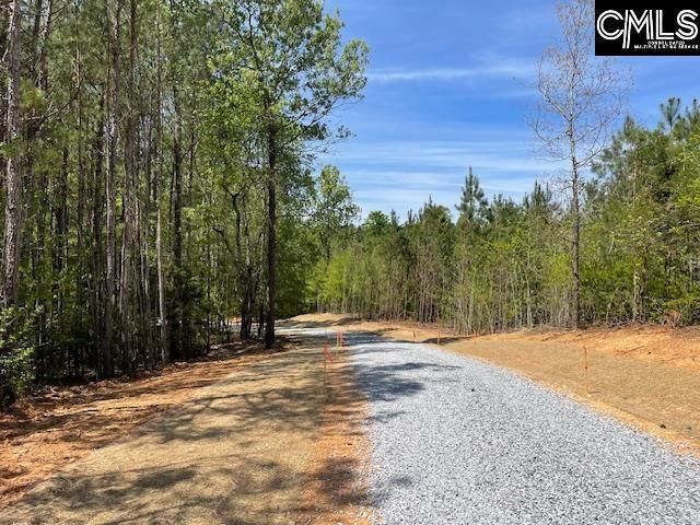 Lot 1 Highway 121 Photo 6