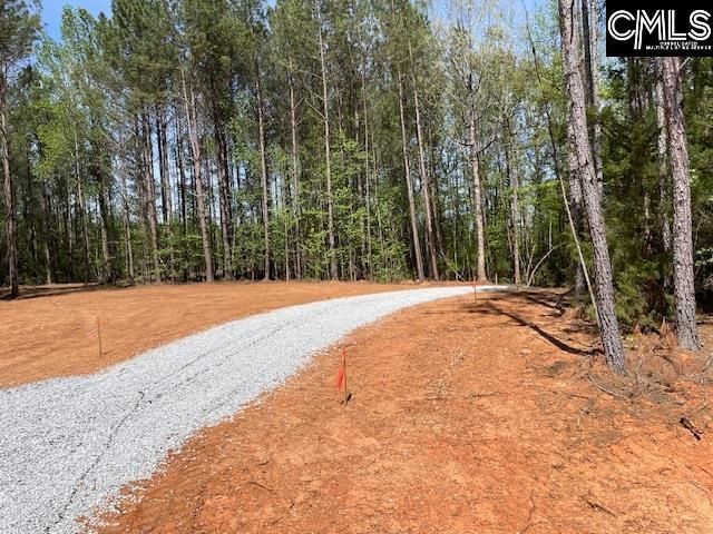 Lot 1 Highway 121 Photo 9
