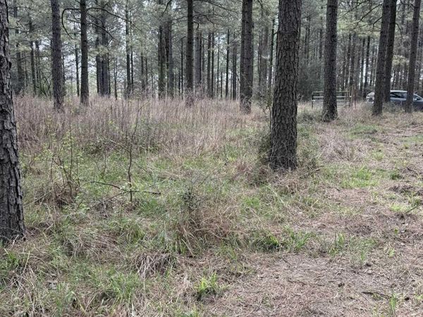 TBD Quail Lane , Murfreesboro, AR 71958