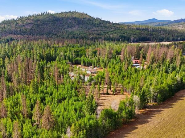 102 Fox Ln, Newport, WA 99156