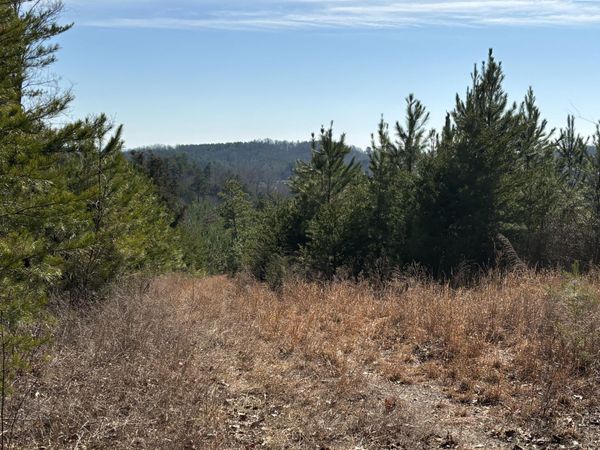 0 Vaughn Mill Road, Evensville, TN 37332