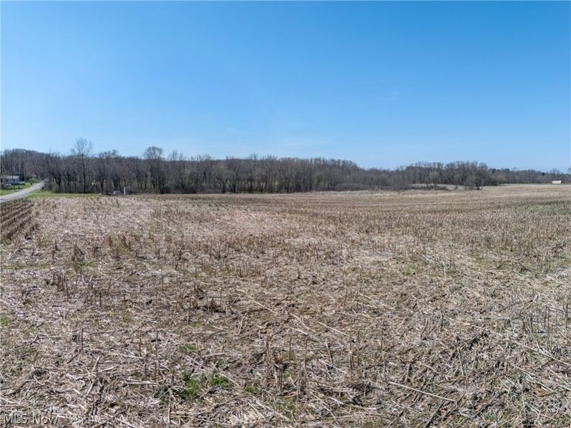 Elson Street SE, Waynesburg, OH 44688 Photo 18