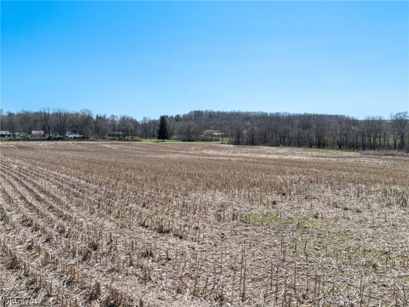 Elson Street SE, Waynesburg, OH 44688 Photo 19