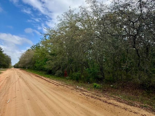 XXX NEILSEN Avenue, Interlachen, FL 32148