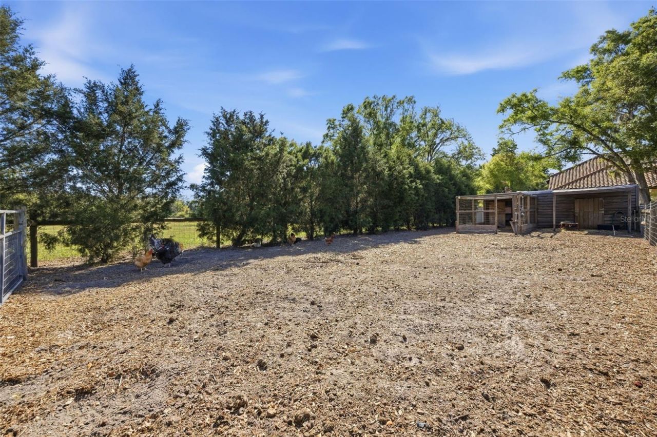 3752 Old Keystone Road, Tarpon Springs, FL 34688 Photo